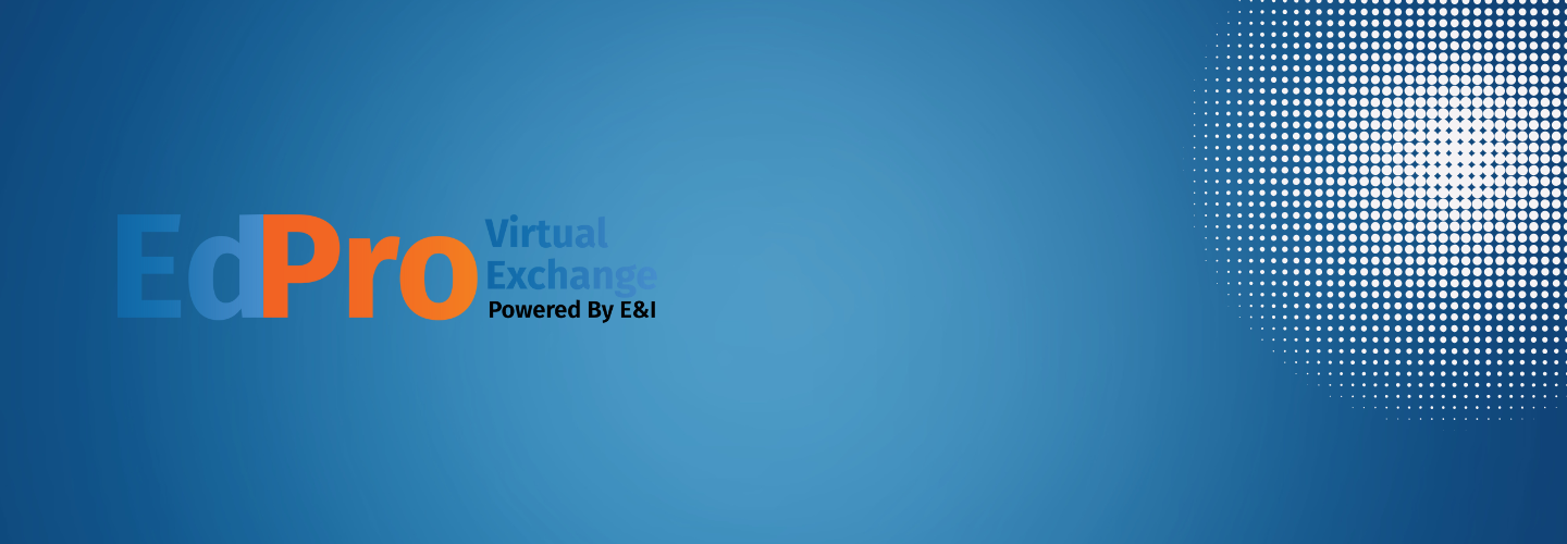 Virtual Exchange Header Image for LP