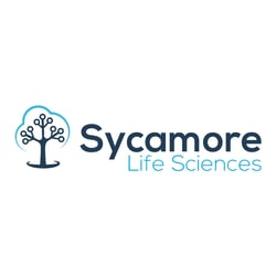 sycamore BG sycamore BG